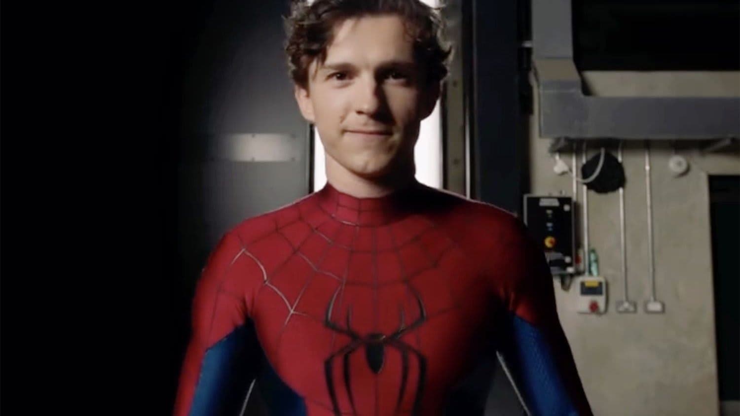 Hulk turns hostile and the Punisher suits up in Spider-Man: Brand New Day's final trailer