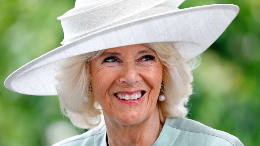 Queen Camilla Opens Clarence House to Seriously Ill Children for Magical Tea Party and Treasure Hunt — Daily Insight